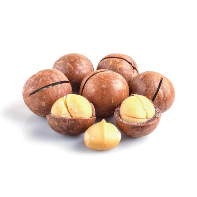 Macadamia-.jpg